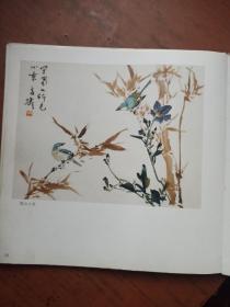 王雪涛画集