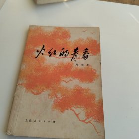 火红的青春