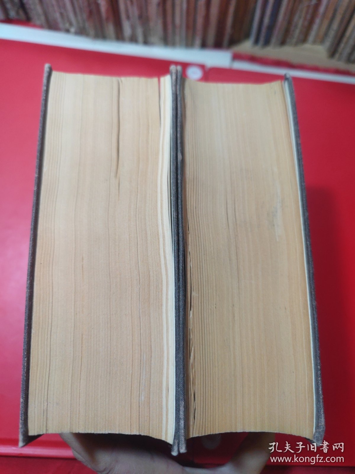 点击查看原图 中华大字典(缩印本全二册)