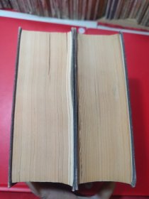 中华大字典(缩印本全二册)