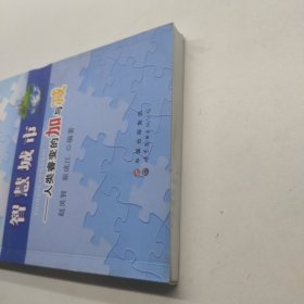 智慧城市 人类睿变的加与减