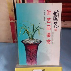 兰花叶艺品鉴赏(实物拍照)