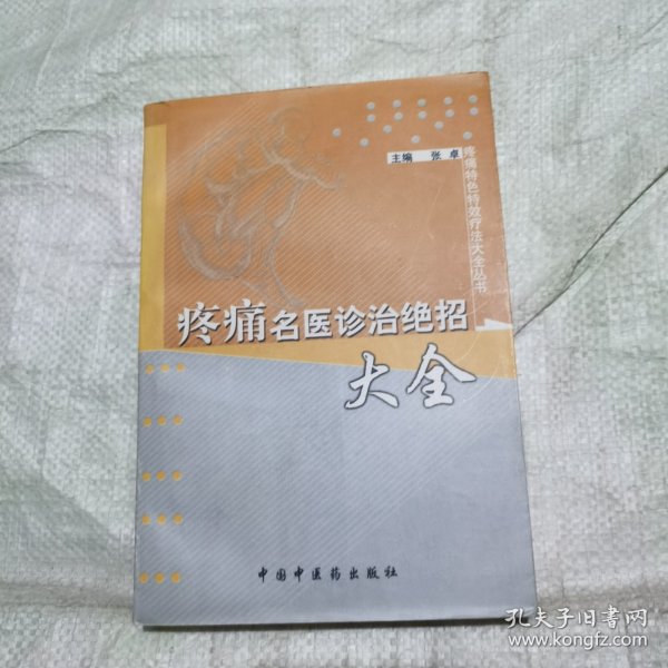 疼痛名医诊治绝招大全——疼痛特色特效疗法大全丛书