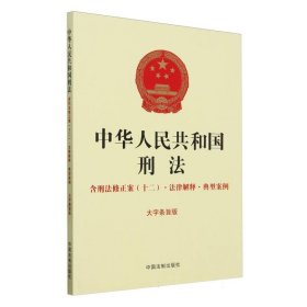 中华人民共和国刑法：含刑法修正案（十二）·法律解释·典型案例（16开）