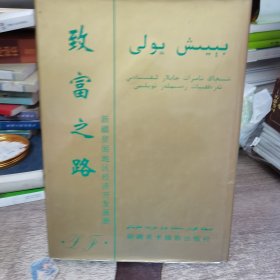 致富之路 新疆贫困地区经济开发画册