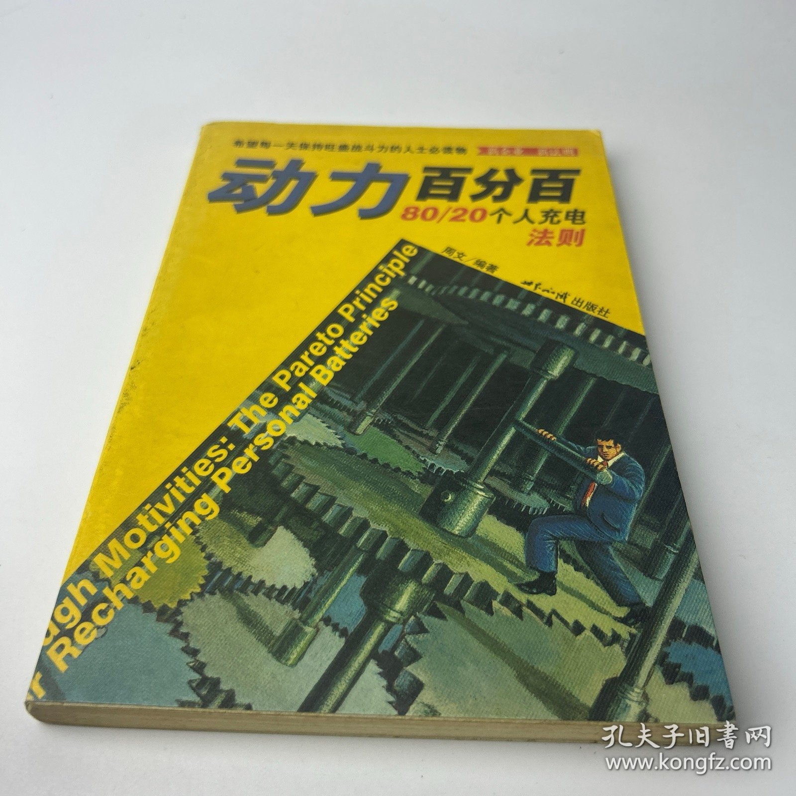 动力百分百: 80/20个人充电法则