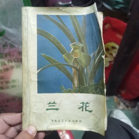 兰花  有无锡著名兰花大师沈渊如照片