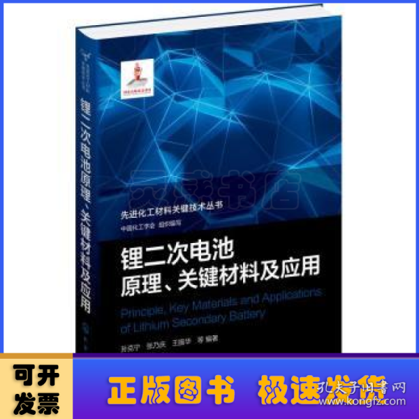 先进化工材料关键技术丛书--锂二次电池原理、关键材料及应用