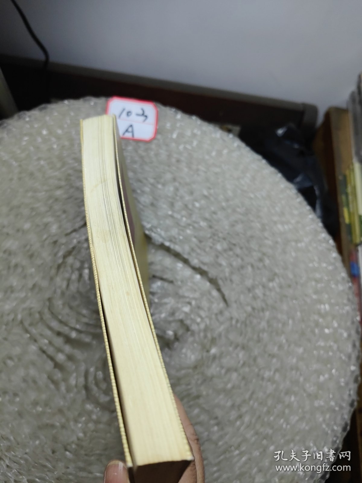 浪漫的补天者:梁漱溟心路历程寻迹