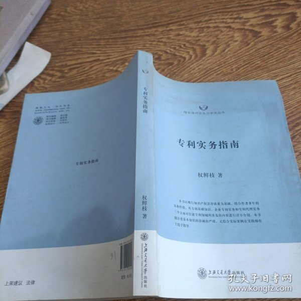 隆安律师实务与学术丛书：专利实务指南
