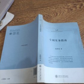 隆安律师实务与学术丛书：专利实务指南