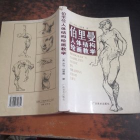 伯里曼人体结构绘画教学