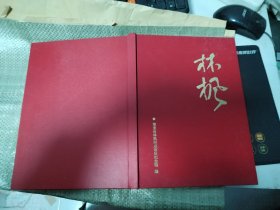 林枫（纪念林枫同志诞辰一百周年，大画册）精装，十品全新