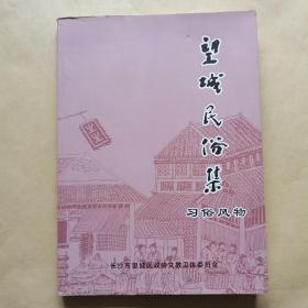 望城民俗集（习俗风物）