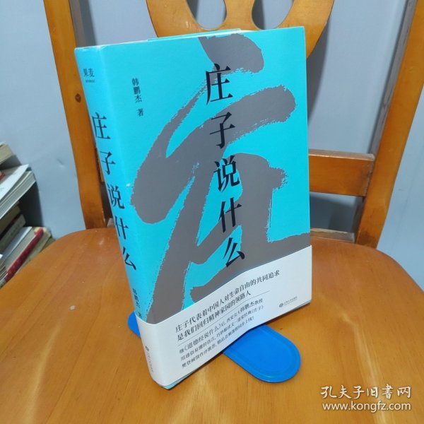 庄子说什么（继《道德经说什么》之后，韩鹏杰又一部道家经典解读著作，樊登作序倾情推荐）