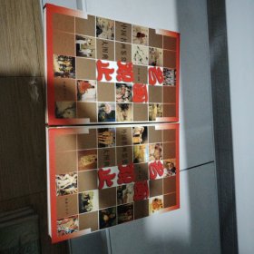 名画观止（中国名画鉴赏大图典）俩册全