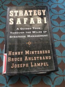 strategy safari
