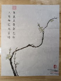 《梅花》小品