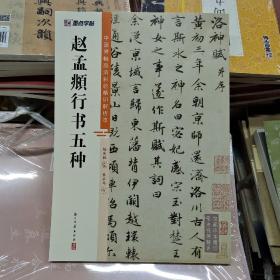 墨点字帖 中国碑帖高清彩色精印解析本赵孟頫行书五种 原碑残字复原视频讲解成人毛笔书法练习字帖