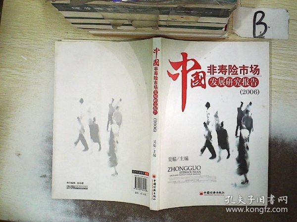 中国非寿险市场发展研究报告（2006）