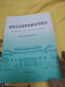 刑事公诉案件证据审查指引