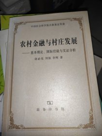 农村金融与村庄发展：基本理论、国际经验与实证分析