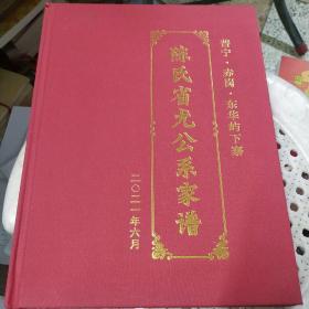 普宁赤岗东华屿下寨 陈氏省尤公系家谱 9.5品