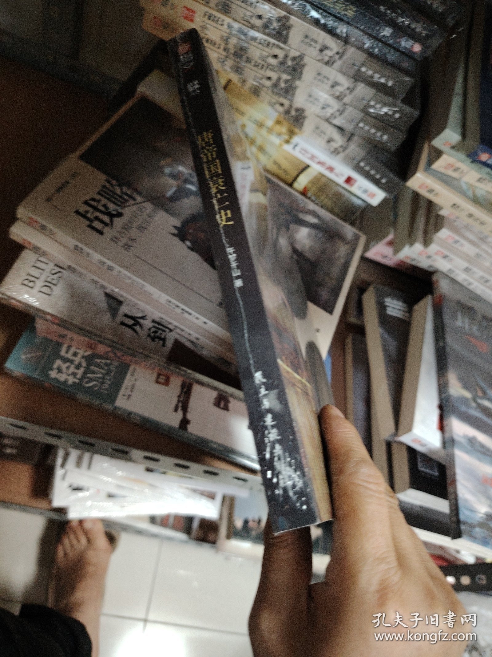 战争事典065：唐帝国衰亡史