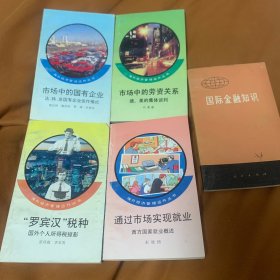 市场中的国有企业、市场中的劳资关系、罗宾汉税种、通过市场实现就业、国际金融知识 (五本合售)
