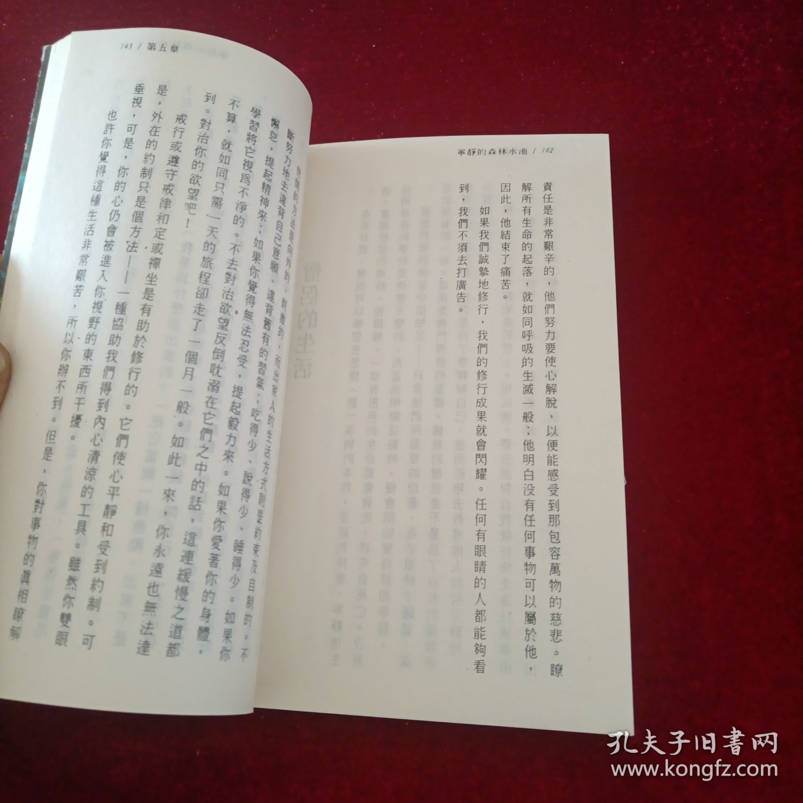 宁静的森林水池：阿姜查的内观禅修