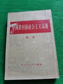 中国业村的社会主义高潮