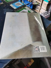 杨化喜油画艺术 未拆封