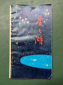 【诗歌】中原青年诗人丛书:星星湖