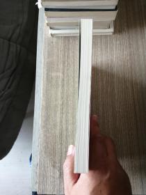 阿劳卡依玛山庄：阿尔瓦罗·穆蒂斯作品集