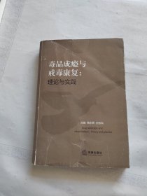 毒品成瘾与戒毒康复：理论与实践