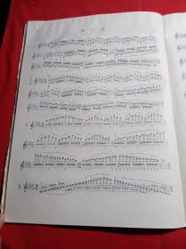 卡尔·弗莱什音阶体系：供每日学习用的
大小调音阶练习
(《小提琴演奏艺术》第一册附录)