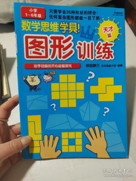 数学思维学具·图形训练：天才篇（小学1～6年级）