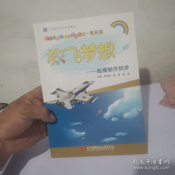 青少年航空教育系列图书·爱好篇·放飞梦想：航模制作初步