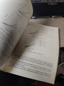 岩土力学数值分析与解析方法:第六届全国岩土力学数值分析与解析方法讨论会论文集