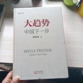 大趋势：中国下一步
