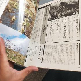 山野草药  创刊号  大量彩页介绍山中草药   日文版