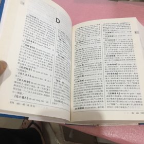 中国成语大辞典