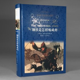 八年级下 经典译林2册  傅雷家书+ 钢铁是怎样炼成的