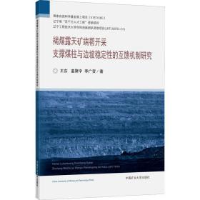 褐煤露天矿端帮开采支撑煤柱与边坡稳定性的互馈机制研究