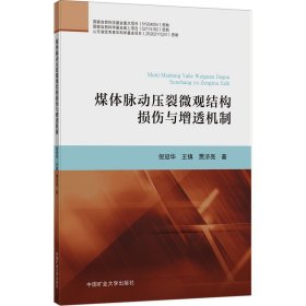 煤体脉动压裂微观结构损伤与增透机制