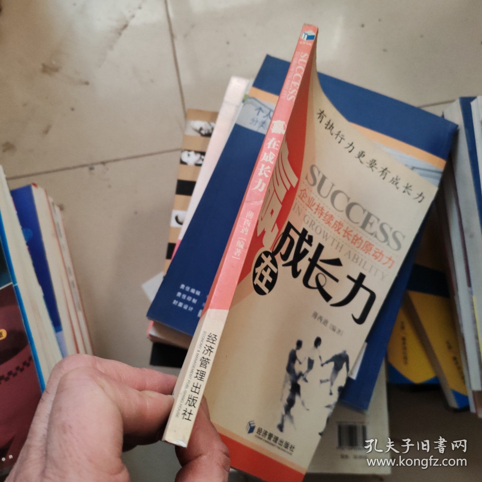 赢在成长力：企业持续成长的原动力