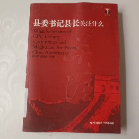 县委书记县长关注什么