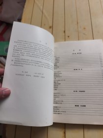 砂金现代化群采丛书