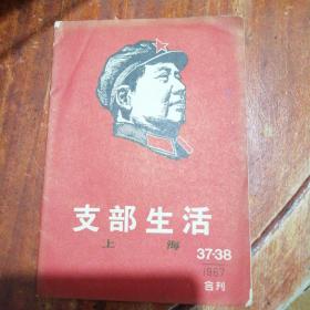 1967年第37-38期支部生活2