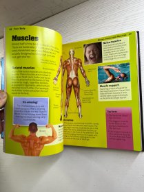 Your Body: Incredible But True Facts Paperback （2015年英文版）16开（精装彩印、内页干净